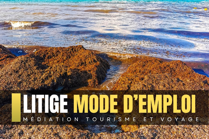 Présence de sargasses : la responsabilité de l'agence peut-elle être engagée ? - Depositphotos.com Auteur ArkadijSchell Présence de sargasses : la responsabilité de l'agence peut-elle être engagée ? - Depositphotos.com Auteur ArkadijSchell