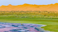 Minqin, Chine © DTH Travel
