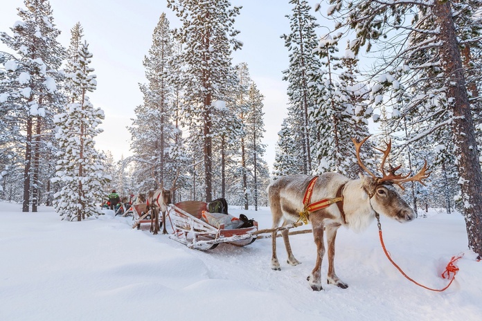 Scanditours lance un nouveau challenge de ventes en 2025 - Photo : Depositphotos.com @shalamov Scanditours lance un nouveau challenge de ventes en 2025 - Photo : Depositphotos.com @shalamov