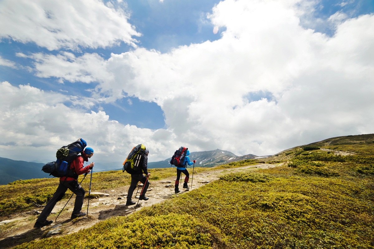 Le Wolf Trail, un parcours de 3 493 km reliant la Pologne à l'Italie via l'Allemagne, l'Autriche, la Suisse et la Slovénie - Depositphotos.com, Artish