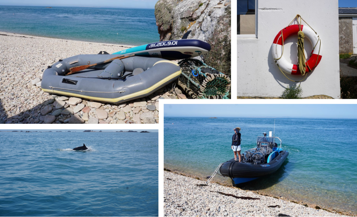 Excurdion vers l'archipel "Les Ecréhous". Naviguer avec les dauphins et se baigner dans les eaux claires. Photo : C.Hardin