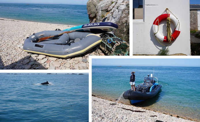 Excurdion vers l'archipel "Les Ecréhous". Naviguer avec les dauphins et se baigner dans les eaux claires. Photo : C.Hardin