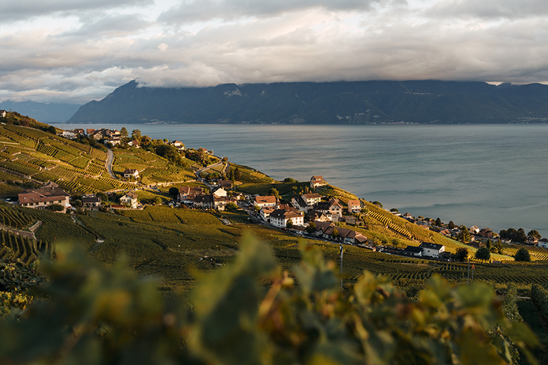 Les vignobles de Lavaux, près de Montreux © Switzerland Tourism / Lorenz Richard
