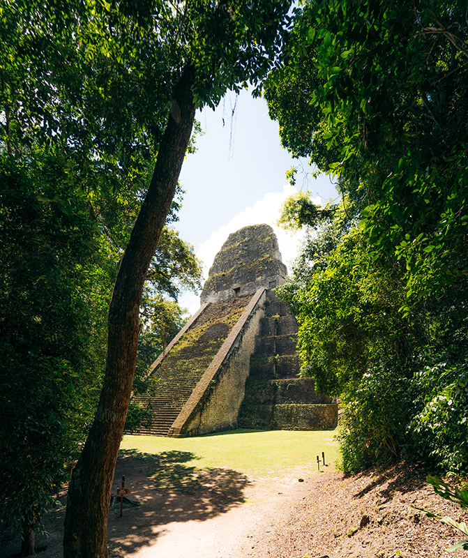 Site de Tikal © Terra Guatemala