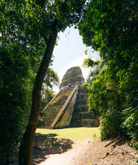 Site de Tikal © Terra Guatemala