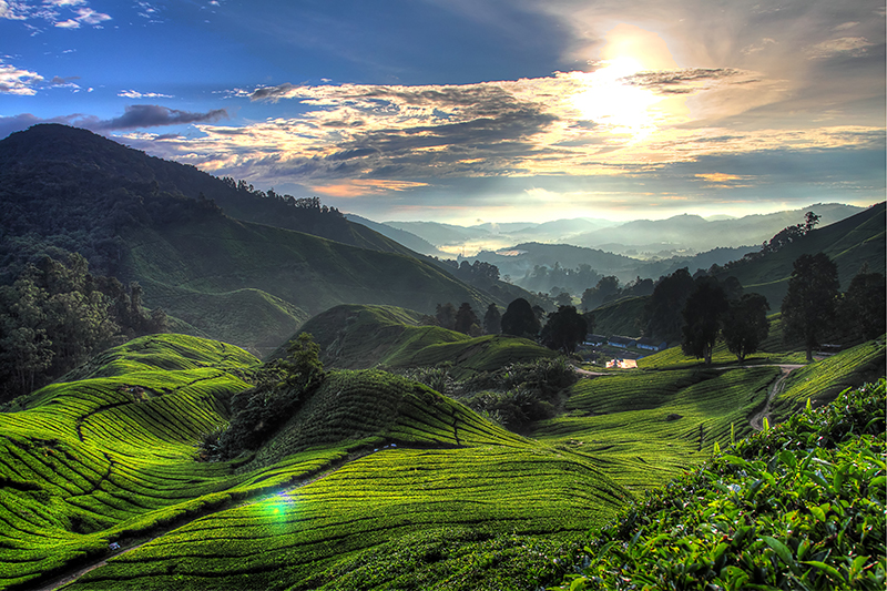 @ Canva by Coleong from Getty Images @ Canva by Coleong from Getty Images
