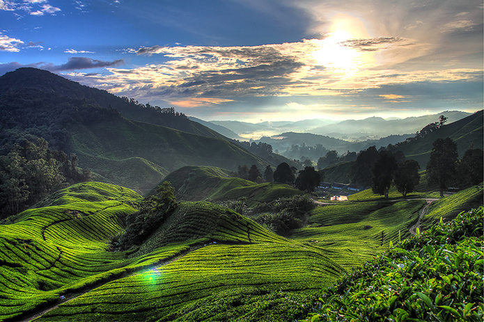 @ Canva by Coleong from Getty Images @ Canva by Coleong from Getty Images