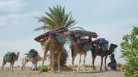 © Naga Travel Maroc