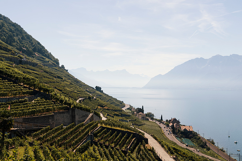 Vue sur le lac Léman à Lavaux © Suisse Tourisme / Lorenz Richard